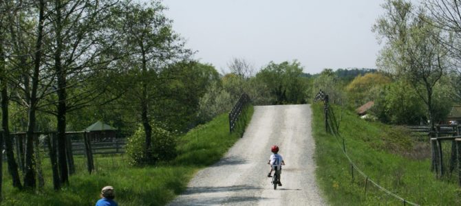 Parco Naturale La Mandria, perfetto mix fra natura e storia