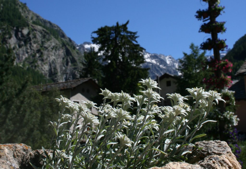 valle d'aosta