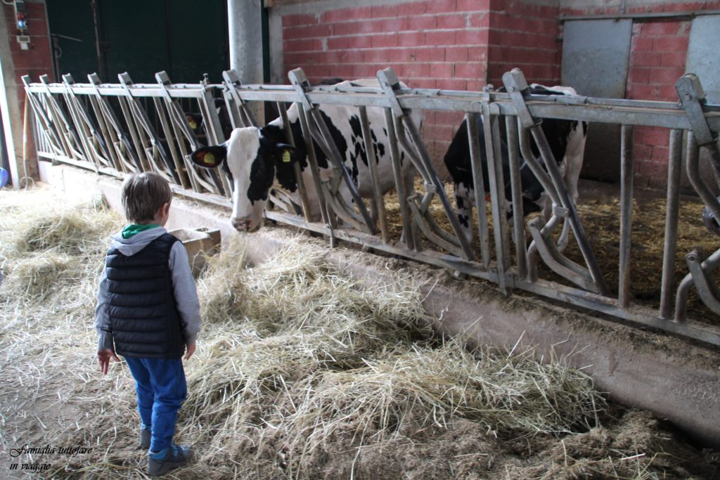 azienda agricola Frigo Stoff