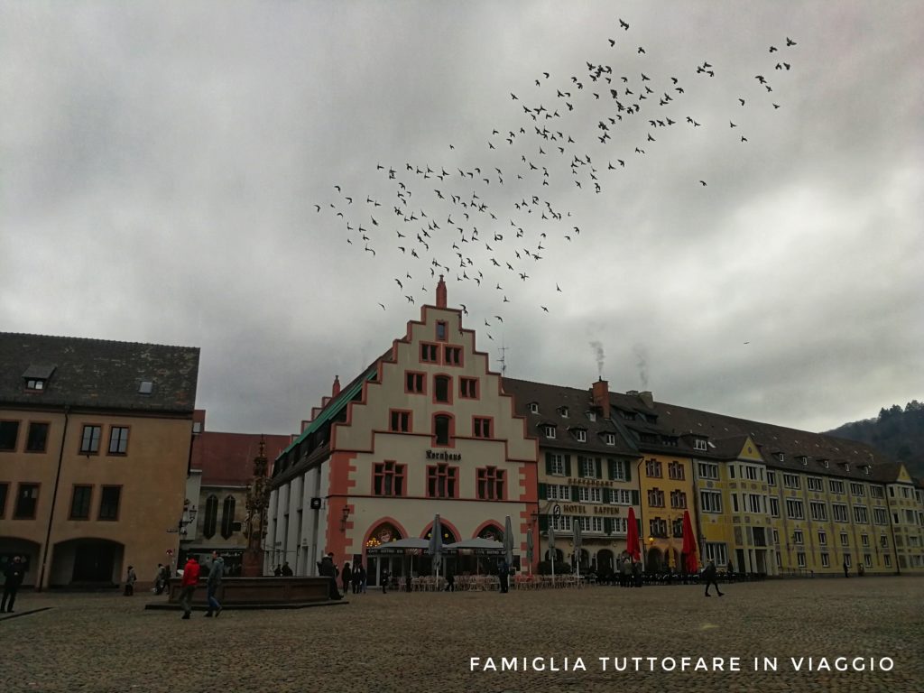 Friburgo in Brisgovia