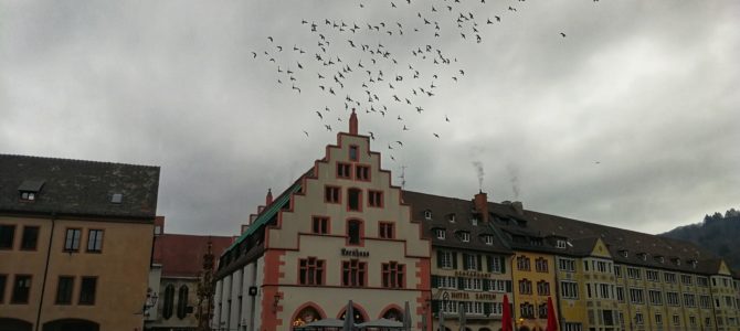 Germania. Friburgo in Brisgovia in un giorno con bambini