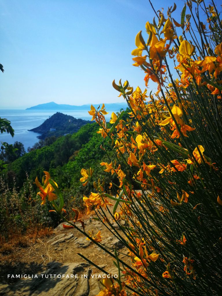 sestri levante