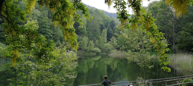 Parco Naturale Orsiera Rocciavrè con bambini. Piemonte da scoprire